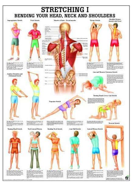 Stretching I Laminated Fitness Poster