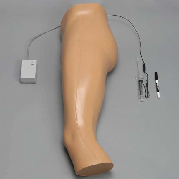 Soft Tissue Hip Injection Model with Skin