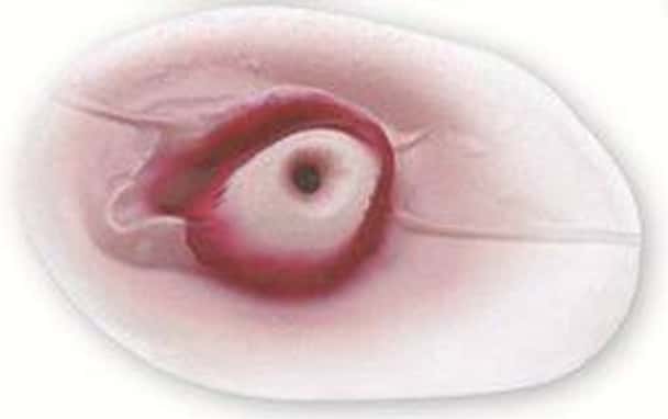 Eyeball Stick-On
