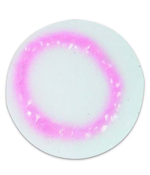 Full Bite Wound Simulator
