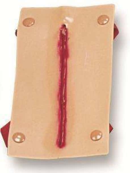 Lacerated Forearm Model