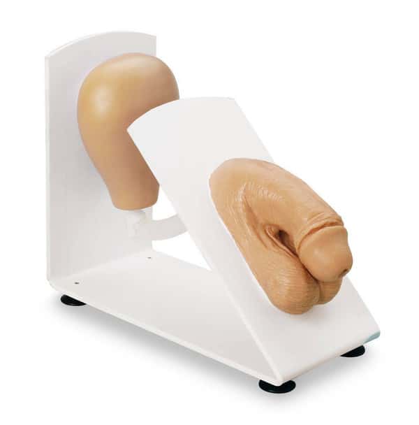 Male Catheterization Trainer Simulator On Board