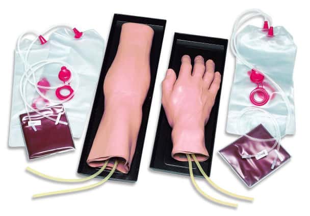 IV Training Arm and Hand Model