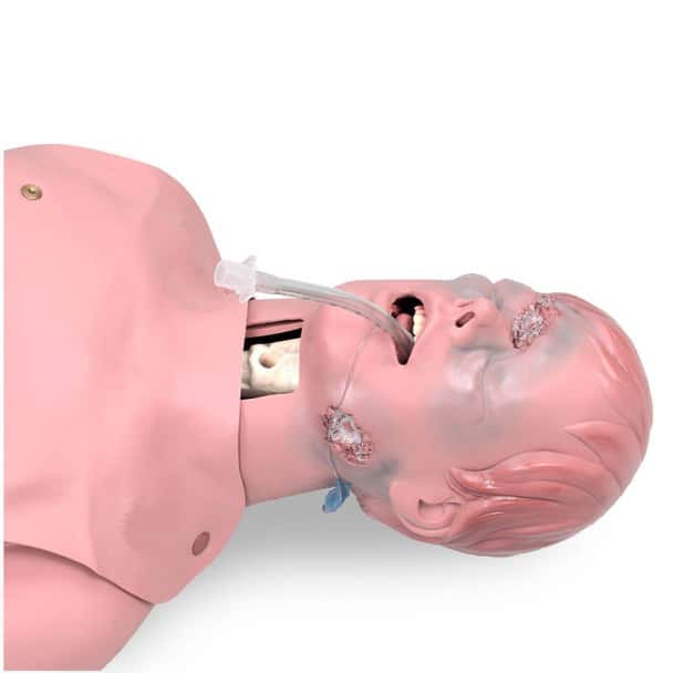 Critical Airway Management Trainer Simulator