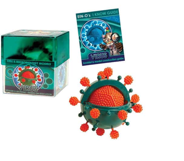 Virus Model