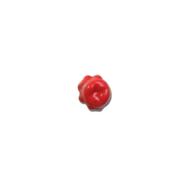 Granuloma Stoma