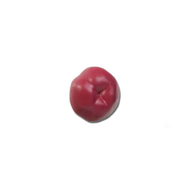 Ischemic Stoma