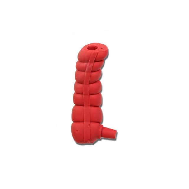 Ascending Large Intestine