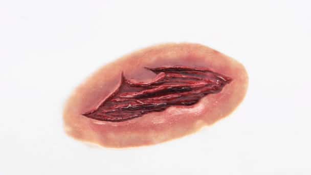 Anatomy Lab Moulage - 5 Piece Set of Lacerations