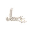 Axis Scientific Foot Skeleton with Ankle with Elastic Articulation