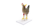 Anatomy Lab Chicken (Gallus gallus domesticus) Anatomy Model