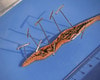 Anatomy Lab Earthworm Specimen, 8-10 Inches, Vacuum Packed, Preserved earthworm specimen for dissection Anatomy Lab Earthworm Specimen, 8-10 Inches, Vacuum Packed, Preserved earthworm specimen for dissection