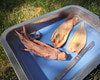 Anatomy Lab Squid Specimen, 8-11 Inches, Vacuum Packed, Preserved Squid Specimen for Dissection