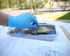 Anatomy Lab Rat Specimen, 7-9 Inches, Vacuum Packed, Preserved Specimen for Dissection