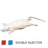 Anatomy Lab Rat Specimen, 7-9 Inches, Vacuum Packed, Double Injection