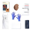 Sheep Kidney Dissection Kit Sheep Kidney Dissection Kit