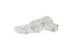 FlexBone Training Model - Full Foot
