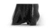 Dog Pelvis Phantom for CT and X-Ray