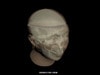 Adult Head (Openable) for X-Ray CT, US, MRI