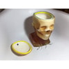 Adult Head (Openable) for X-Ray CT, US, MRI