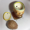 Adult Head (Openable) for X-Ray CT, US, MRI
