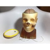 Adult Head (Openable) for X-Ray CT, US, MRI
