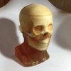 Adult Head (Openable) for X-Ray CT, US, MRI