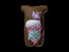 Newborn Baby Torso Phantom Model - Design