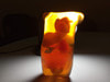 Newborn Baby Torso Phantom Model