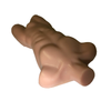 Adult Torso for X-Ray CT, US