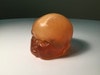 Newborn Baby Complex Head Phantom Model