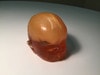 Newborn Baby Complex Head Phantom Model