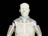 Adult Male Full Body X-Ray/CT and MRI Phantom Model - Product designs