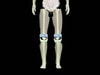 Adult Male Full Body X-Ray/CT and MRI Phantom Model - Product designs