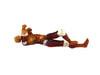 Adult Male Full Body X-Ray/CT and MRI Phantom Model