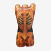 Adult Female Torso for X-Ray CT, MRI