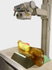 Adult Female Torso for X-Ray CT, MRI