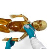 Pediatric 4-Year Old Full Body Phantom Model with Carry Case
