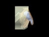 Adult Ear Phantom Model