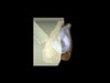 Adult Ear Phantom Model