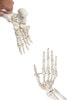 Axis Scientific Classic Human Skeleton with Study and Numbering Guide