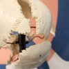 Axis Scientific Male Beauchene Skull Anatomy Model, 22 Parts
