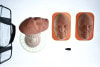Face Suturing Task Trainer