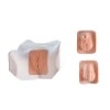 Catheterization Task Trainer