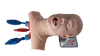 Advanced Airway Skills Task Trainer