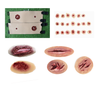 Wound & Hemorrhage: Trauma Moulage Bundle
