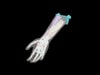 Adult Arm (Complex) for X-Ray CT, US, MRI