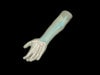 Adult Arm with Elbow for X-Ray CT, US, MRI