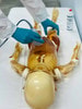 Pediatric Full Body for X-Ray CT, US