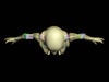Pediatric Full Body for X-Ray CT, US